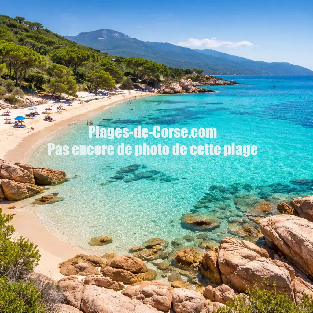 Plage de Bodri